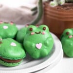 Tiktok Frog Froggie Macarons with easy chocolate buttercream