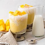 mango sago tapioca pudding with coconut milk and fresh mango
