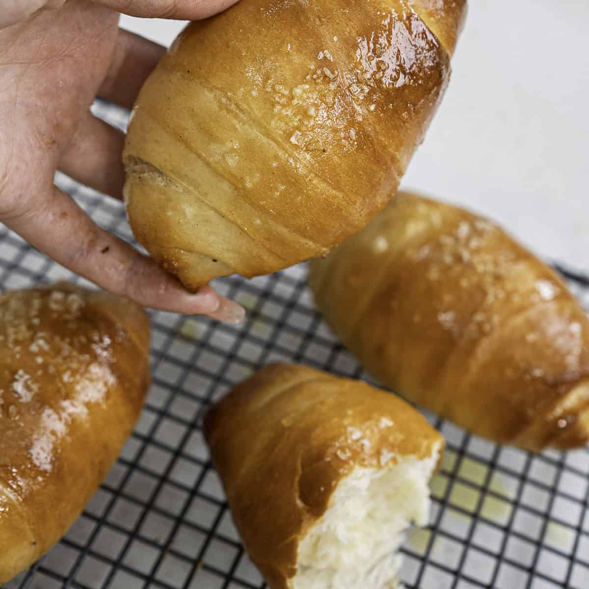 No Knead Easy Salt Bread (Shio Pan)
