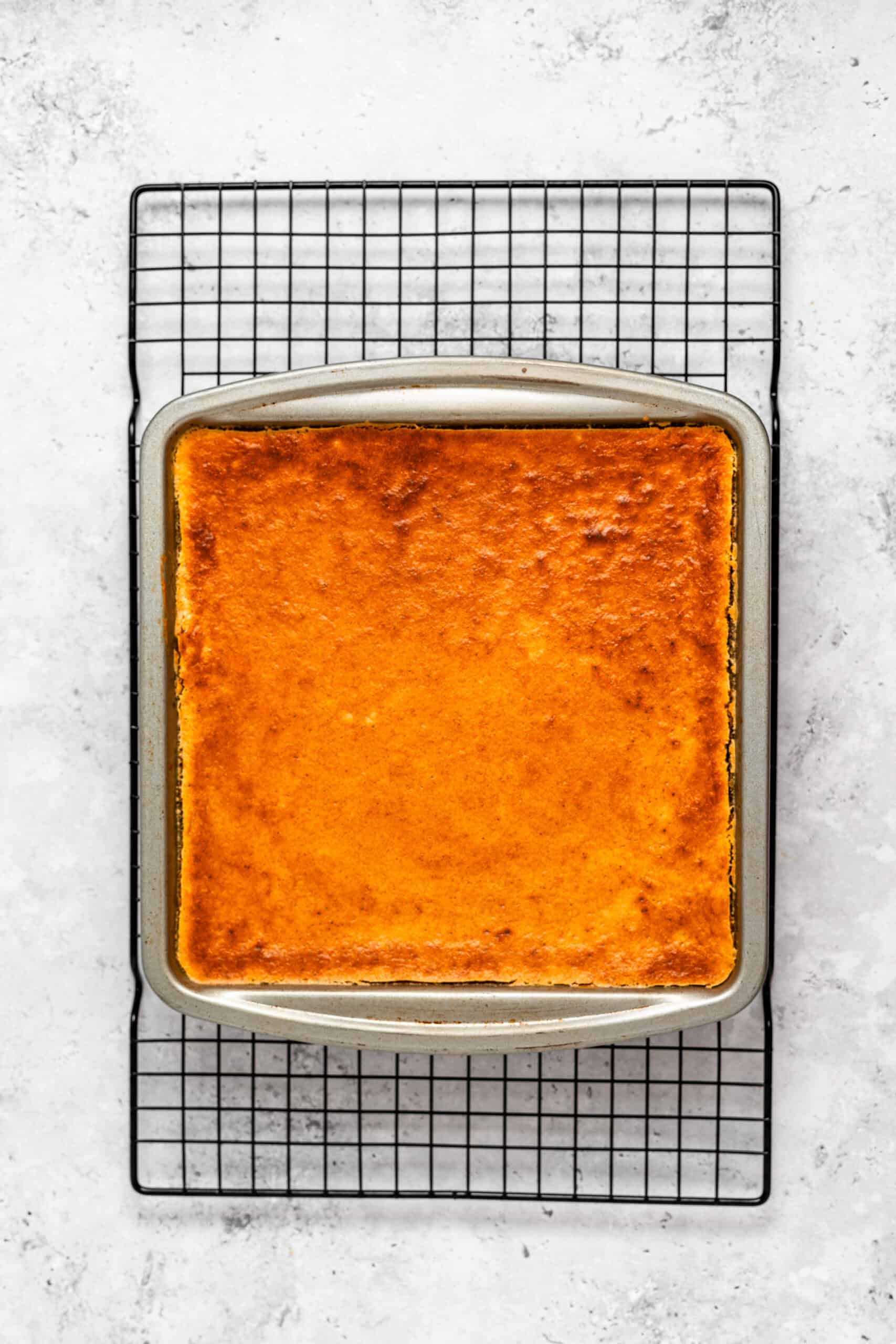 The baked lapis legit cooling on a wire rack - Catherine Zhang The baked lapis legit cooling on a wire rack
